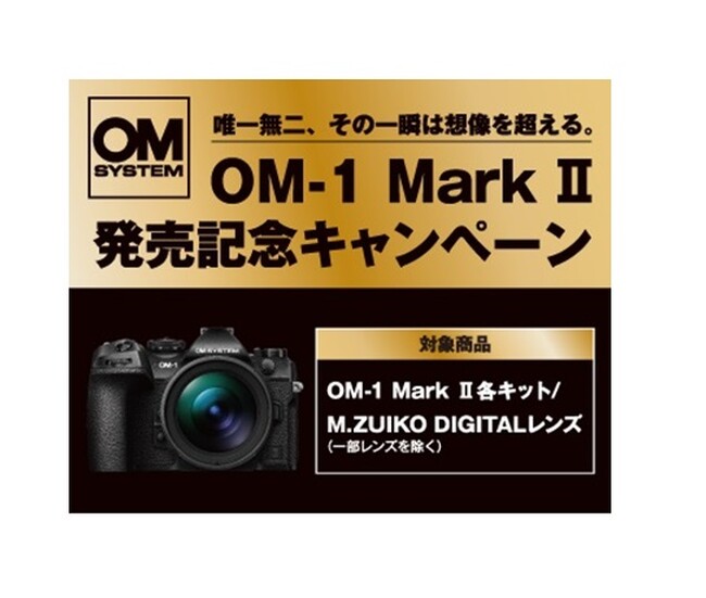 wOM-1 Mark IILOLy[x{̂m点
