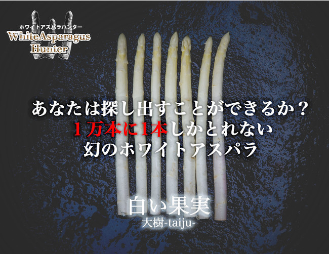 宝探し＆農業体験型アトラクション「ホワイトアスパラハンター」を11月21日に岩手県二戸市浄法寺町にて開催