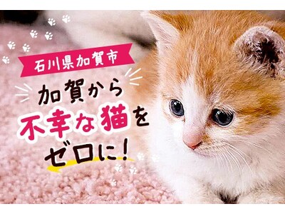 �y�ΐ쌧����s�z�u�s�K�ȔL�v���[���ɁB177�����x�����Ă��I���Ȃ��n��ۑ�ɁA�ӂ邳�Ɣ[�łŒ���