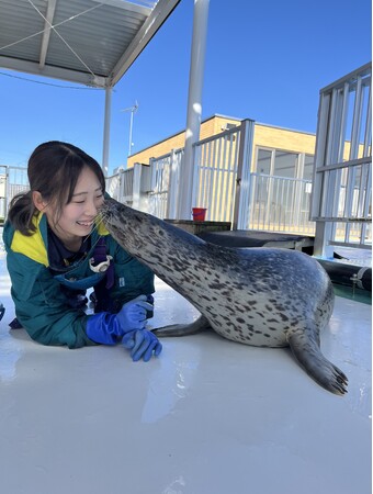 プレスリリース「【NHKカルチャー】オホーツクとっかりセンター・アザラシランド飼育スタッフによるオンライン講座「”史” ～示し、記し、アザラシ～」【2025年3月22日（土）13時～】」のイメージ画像