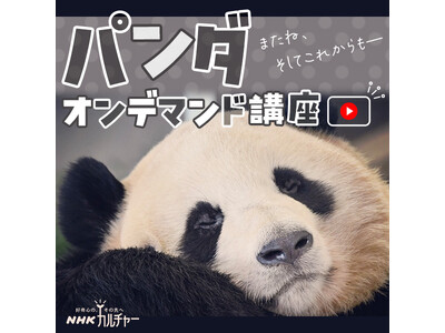 【NHKカルチャー】寒い季節はおうちでもふもふ！人気の「パンダ」講座をオンデマンド化。決済完了日から30...