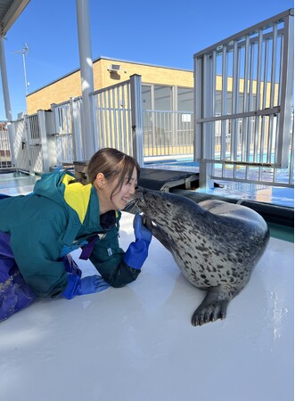 【NHKカルチャー】オホーツクとっかりセンター・アザラシランド飼育スタッフによるオンライン講座「アザラシ飼育員が語るアザラシの個性」【2026年3月14日（土）13時～】