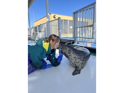 【NHKカルチャー】オホーツクとっかりセンター・アザラシランド飼育スタッフによるオンライン講座「アザラシ飼育員が語るアザラシの個性」【2026年3月14日（土）13時～】