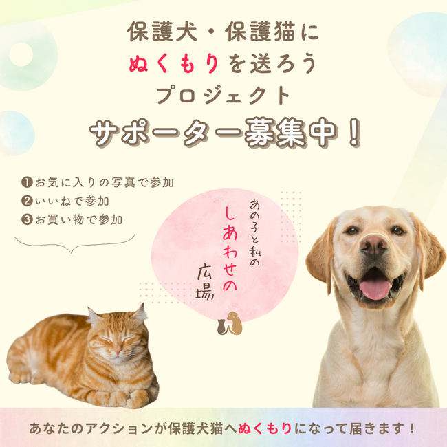 「写真の力」で動物福祉を支援！アニマル・ドネーションへの協賛プロジェクトを開始