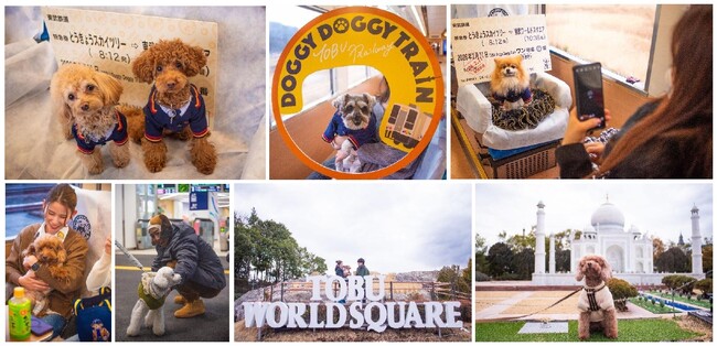 ケージレスで愛犬と旅行！「スカイツリートレイン」貸切ツアーを実施
