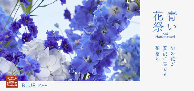 青山フラワーマーケットにて青の花を取り揃えた「青い花祭」を開催！梅雨に向けて初のオリジナル傘も。