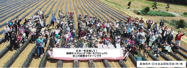 ふくしま復興「日本一を目指して！楢葉町×マルトさつまいもプロジェクト」始動！！