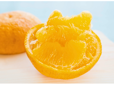 【愛媛から初夏の便り】一般的な甘夏とはひと味違う「樹上完熟甘夏」限定販売―春先まで木で熟した、濃厚な甘み...