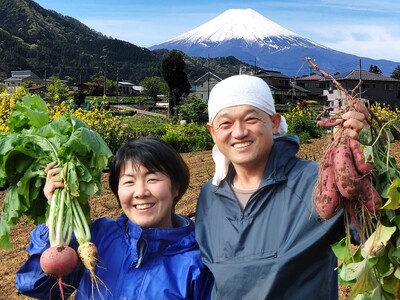 富士山麓の自然が育む、極上のオーガニック野菜をあなたの食卓に。『わっぱファーム・6種のお野菜セット』新発...