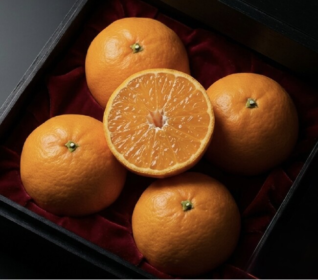 【愛媛限定栽培】“愛媛で人気の隠れ名品”、全国ではまだ希少な柑橘『甘平(かんぺい)』-老舗農園「かじ坊」より産地直送で数量限定発売