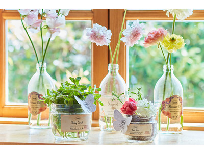 肌と心を慈しむ自然に感謝と敬意をこめて。サスティナブルに配慮した『SABON ネイチャーマイレージクラブ』発足1周年