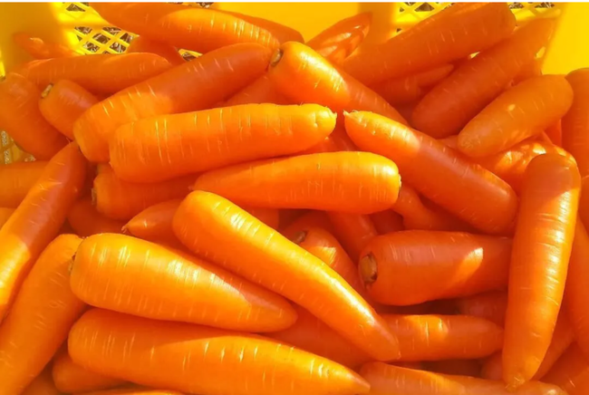 【食育に着手】筑波大学と提携するチェーロスポーツ保育園が食育プロジェクト開始
