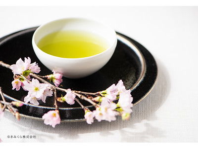 ふわっと立ち上る桜の香り！春の訪れを感じる「さくらのお茶シリーズ」を2月9日からきみくらオンラインショップで期間限定で販売