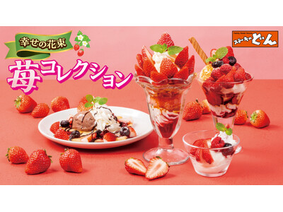 『ステーキのどん』見た目も可愛い“花束スイーツ”が今年も！旬の苺を使った「幸せの花束 苺コレクション」2月24日（火）開始