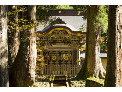 〈歓宿縁 ESHIKOTO〉大本山永平寺の朝のお勤めに参加できるツアーがスタート。700 年以上続く歴史と伝統を受け継ぐ禅の道場で禅の世界を体験。