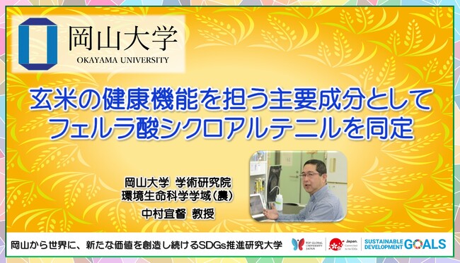 【岡山大学】玄米の健康機能を担う主要成分としてフェルラ酸シクロアルテニルを同定