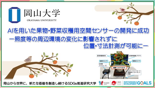 【岡山大学】AIを用いた果物・野菜収穫用空間センサーの開発に成功 -照度等の周辺環境の変化に影響されずに位置・寸法計測が可能に-