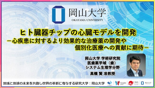 【岡山大学】ヒト臓器チップの心臓モデルを開発-心疾患に対するより効果的な治療薬の開発や個別化医療への貢献に期待-