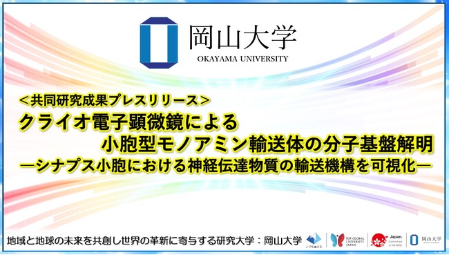 クライオ電子顕微鏡による小胞型モノアミン輸送体の分子基盤解明 -シナプス小胞における神経伝達物質の輸送機構を可視化-〔京都大学, 岡山大学, 大阪大学, 京都工芸繊維大学〕