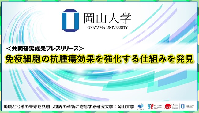 免疫細胞の抗腫瘍効果を強化する仕組みを発見〔かずさDNA研究所、岡山大学〕