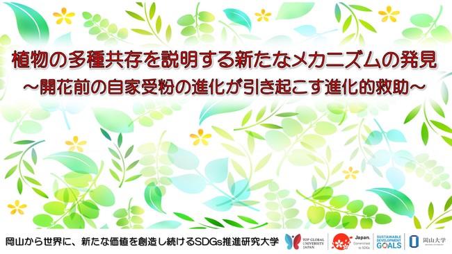 【岡山大学】植物の多種共存を説明する新たなメカニズムの発見～開花前の自家受粉の進化が引き起こす進化的救助～