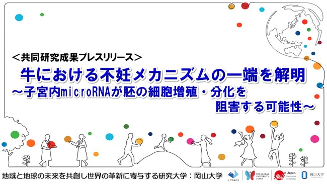 牛における不妊メカニズムの一端を解明～子宮内microRNAが胚の細胞増殖・分化を阻害する可能性～〔名古屋大学、岡山大学〕