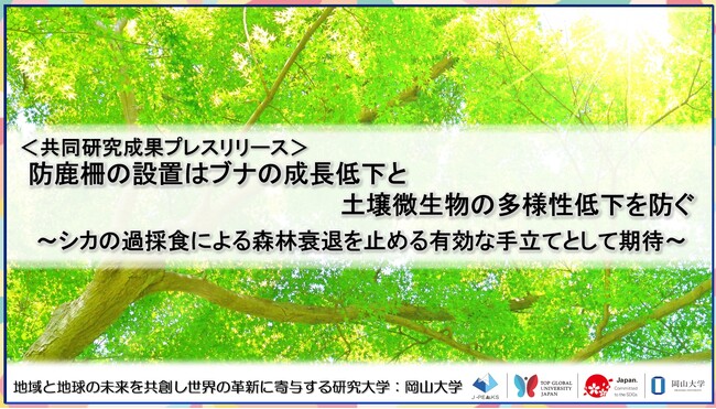 防鹿柵の設置はブナの成長低下と土壌微生物の多様性低下を防ぐ～シカの過採食による森林衰退を止める有効な手立てとして期待～〔九州大学, 宮崎大学, 岡山大学〕