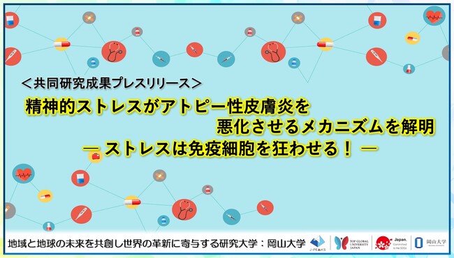 【岡山大学】精神的ストレスがアトピー性皮膚炎を悪化させるメカニズムを解明-ストレスは免疫細胞を狂わせる！-