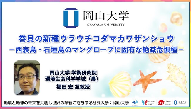 【岡山大学】巻貝の新種ウラウチコダマカワザンショウ-西表島・石垣島のマングローブに固有な絶滅危惧種-