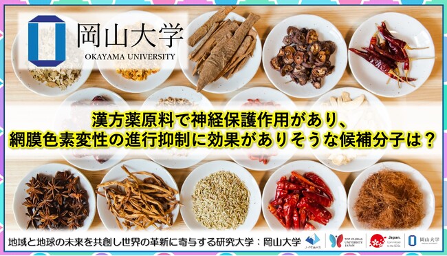 【岡山大学】漢方薬原料で神経保護作用があり、網膜色素変性の進行抑制に効果がありそうな候補分子は？