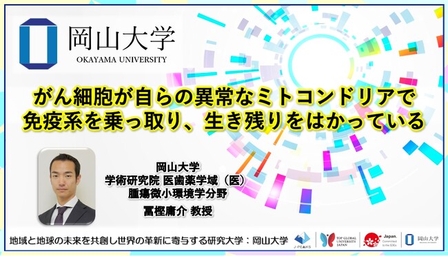 【岡山大学】がん細胞が自らの異常なミトコンドリアで免疫系を乗っ取り、生き残りをはかっている