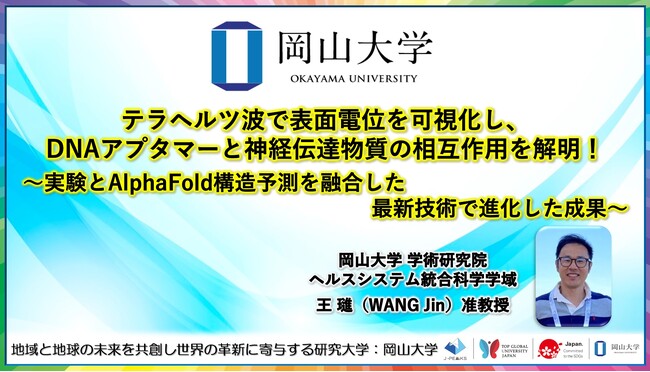 【岡山大学】テラヘルツ波で表面電位を可視化し、DNAアプタマーと神経伝達物質の相互作用を解明！～実験とAlphaFold構造予測を融合した最新技術で進化した成果～