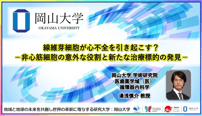 線維芽細胞が心不全を引き起こす？-非心筋細胞の意外な役割と新たな治療標…