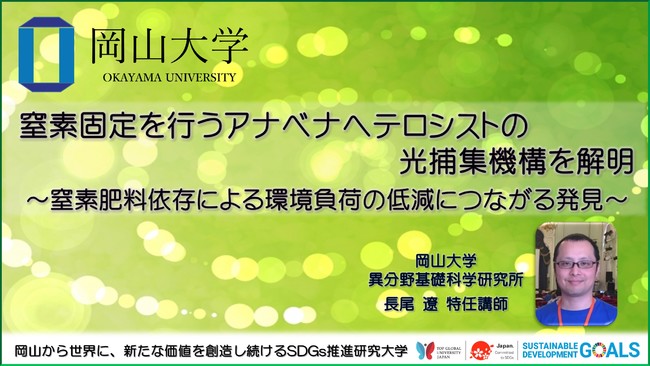 【岡山大学】窒素固定を行うアナベナヘテロシストの光捕集機構を解明 ～窒素肥料依存による環境負荷の低減につながる発見～