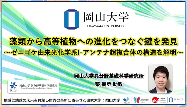 【岡山大学】藻類から高等植物への進化をつなぐ鍵を発見～ゼニゴケ由来光化学系I-アンテナ超複合体の構造を解明～