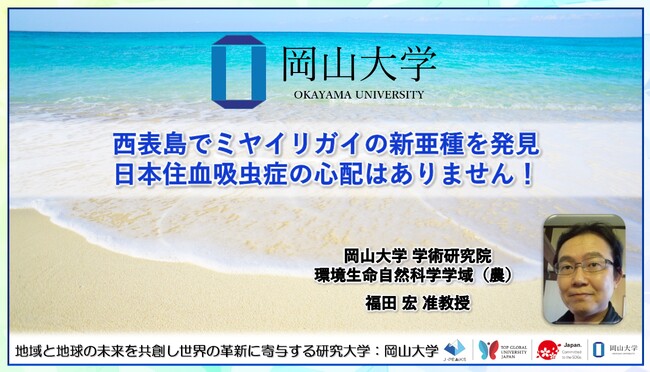 【岡山大学】西表島でミヤイリガイの新亜種を発見　日本住血吸虫症の心配は…