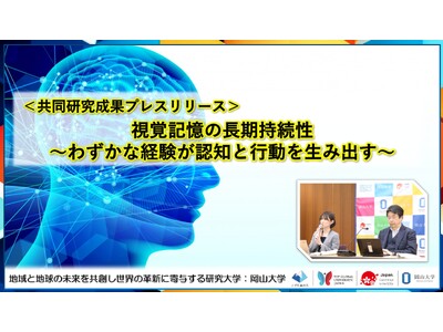 視覚記憶の長期持続性～わずかな経験が認知と行動を生み出す～〔岡山大学, 日本赤十字広島看護大学〕