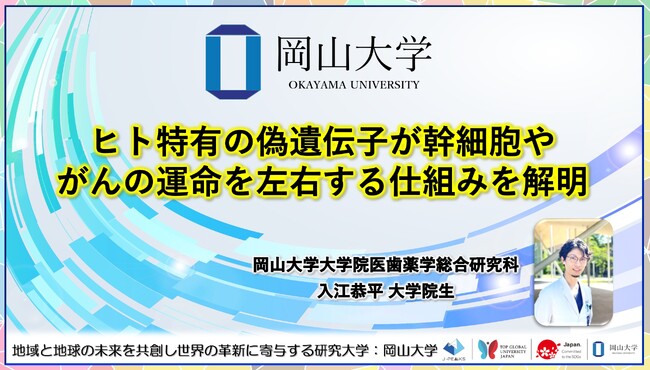 【岡山大学】ヒト特有の偽遺伝子が幹細胞やがんの運命を左右する仕組みを解明