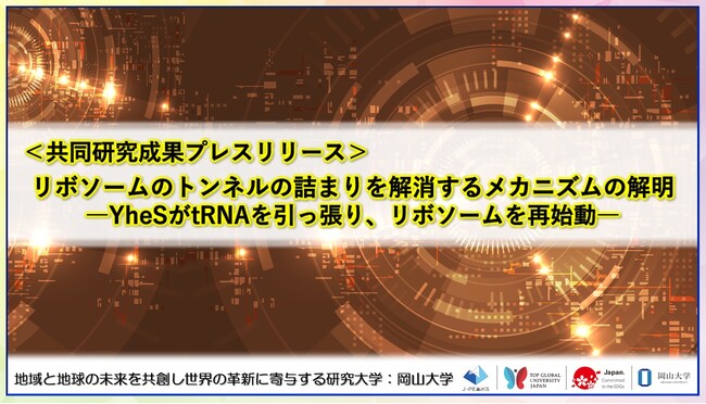 リボソームのトンネルの詰まりを解消するメカニズムの解明 ――YheSがtRNAを引っ張り、リボソームを再始動――〔東京大学, 東京科学大学, 岡山大学, 科学技術振興機構〕