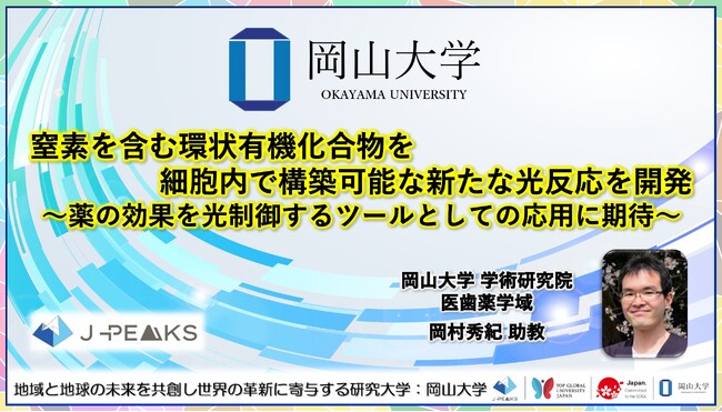 窒素を含む環状有機化合物を細胞内で構築可能な新たな光反応を開発～薬の効果を光制御するツールとしての応用に期待～〔岡山大学, 東北大学〕