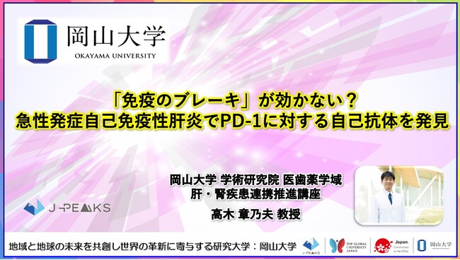 【岡山大学】「免疫のブレーキ」が効かない？急性発症自己免疫性肝炎でPD-1に対する自己抗体を発見