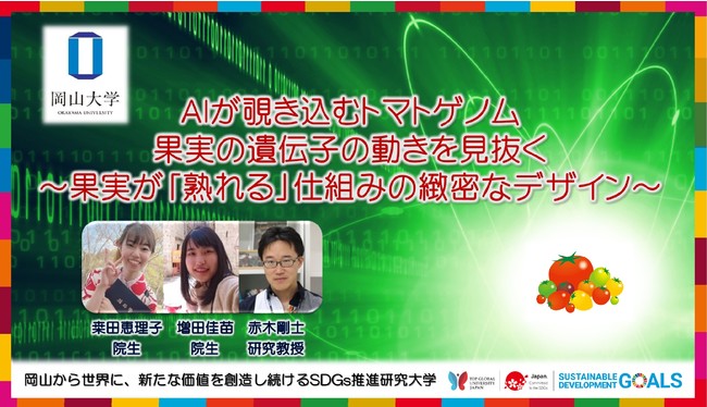 【岡山大学】AIが覗き込むトマトゲノム：果実の遺伝子の動きを見抜く～果実が「熟れる」仕組みの緻密なデザイン～