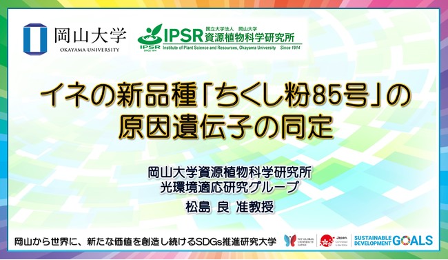 【岡山大学】イネの新品種「ちくし粉85号」の原因遺伝子の同定