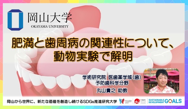 【岡山大学】肥満と歯周病の関連性について、動物実験で解明