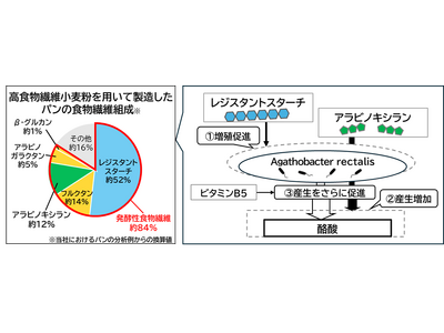 日清製粉グループ カギは“多様な発酵性食物繊維” 高食物繊維小麦粉の新たな可能性