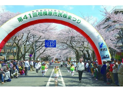 ６年ぶりの開催！「第５１回相模原市民桜まつり」にぜひお越しください