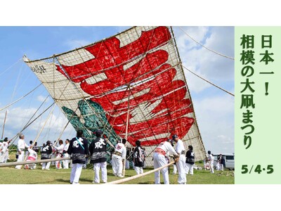 【相模原市】その大きさ日本一！令和８年「相模の大凧まつり」を5月4日・5日に開催します！