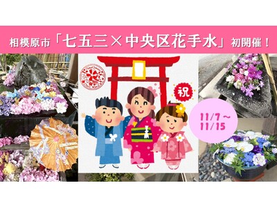 【相模原市】お子さまのハレの日をお祝い!「七五三×中央区花手水」を実施します