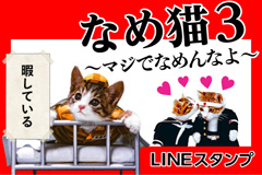 好評なめ猫スタンプ第三弾は あふれる思いと感情 Lineスタンプ なめ猫3 マジでなめんなよ 配信開始 記事詳細 Infoseekニュース