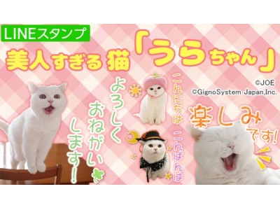 可憐なその姿に目が釘付けに！LINEスタンプ美人すぎる猫『うらちゃん